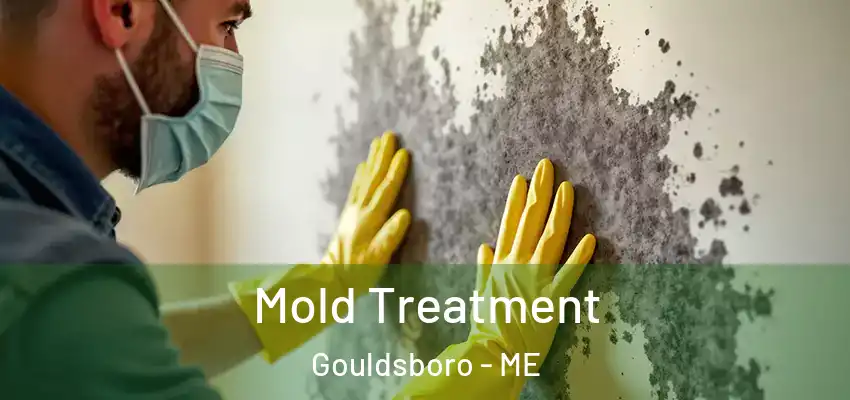  Mold Treatment Gouldsboro - ME