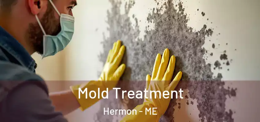 Mold Treatment Hermon - ME
