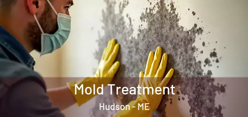 Mold Treatment Hudson - ME