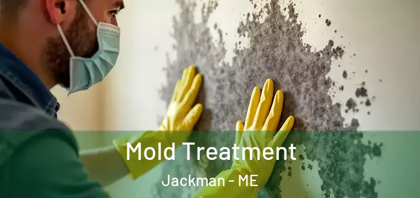Mold Treatment Jackman - ME