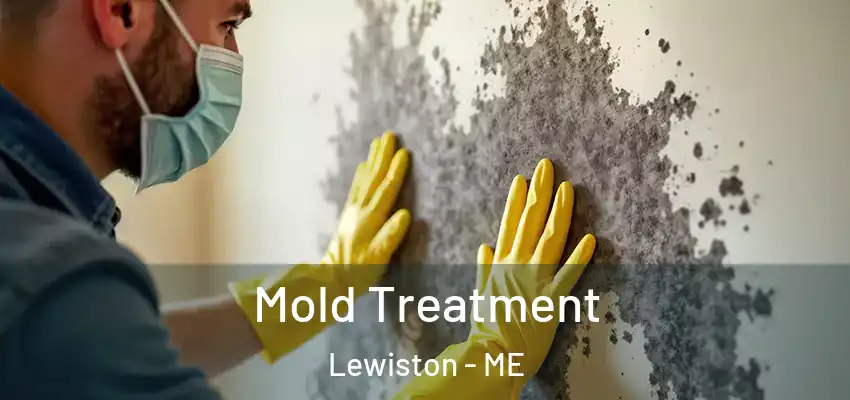  Mold Treatment Lewiston - ME