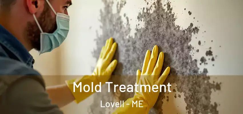  Mold Treatment Lovell - ME