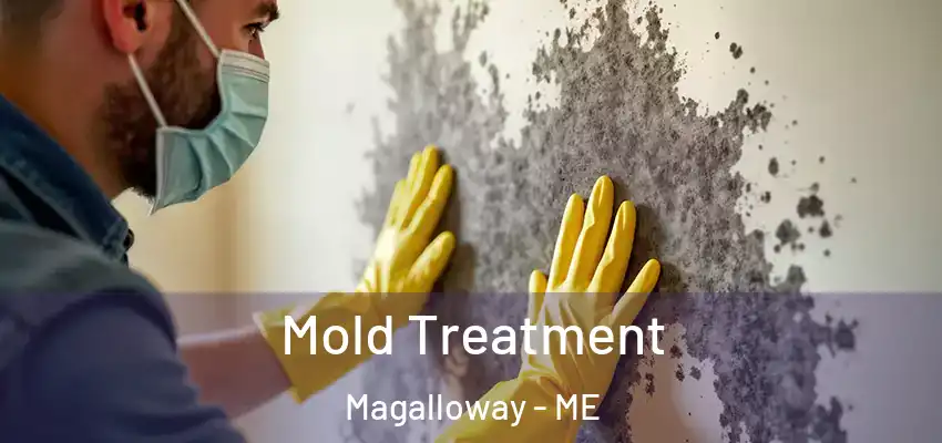 Mold Treatment Magalloway - ME