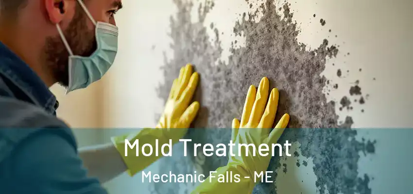 Mold Treatment Mechanic Falls - ME