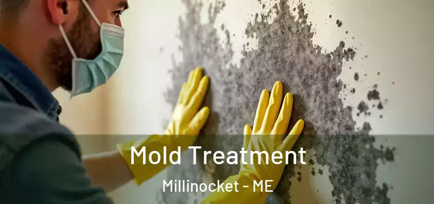  Mold Treatment Millinocket - ME
