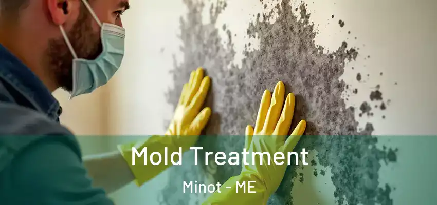  Mold Treatment Minot - ME