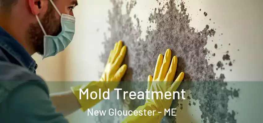  Mold Treatment New Gloucester - ME