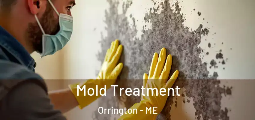  Mold Treatment Orrington - ME