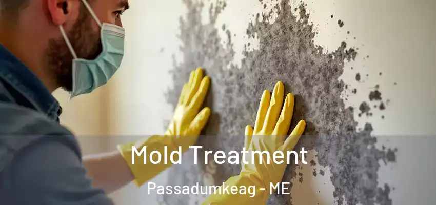  Mold Treatment Passadumkeag - ME