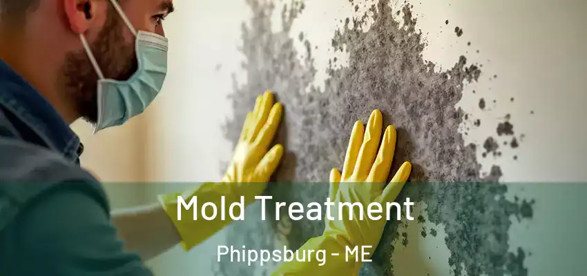 Mold Treatment Phippsburg - ME