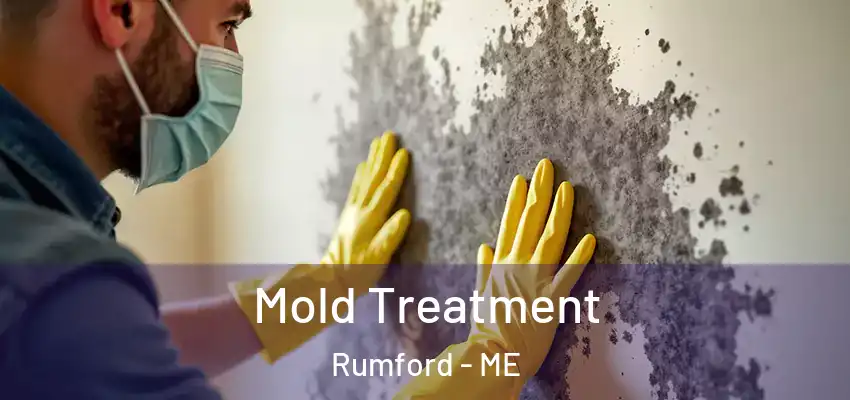 Mold Treatment Rumford - ME