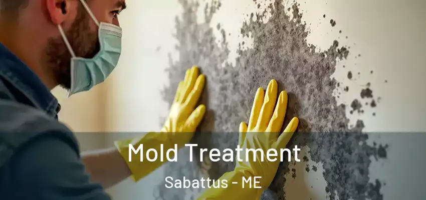 Mold Treatment Sabattus - ME