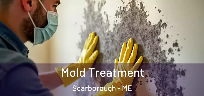  Mold Treatment Scarborough - ME