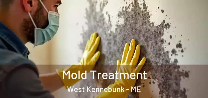 Mold Treatment West Kennebunk - ME