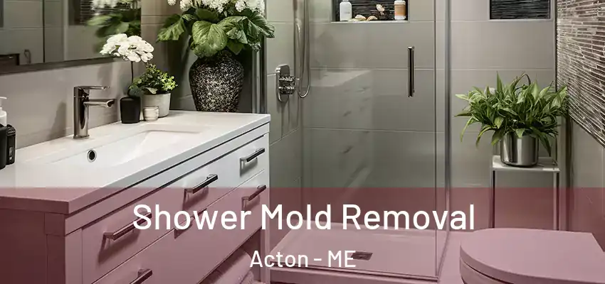 Shower Mold Removal Acton - ME