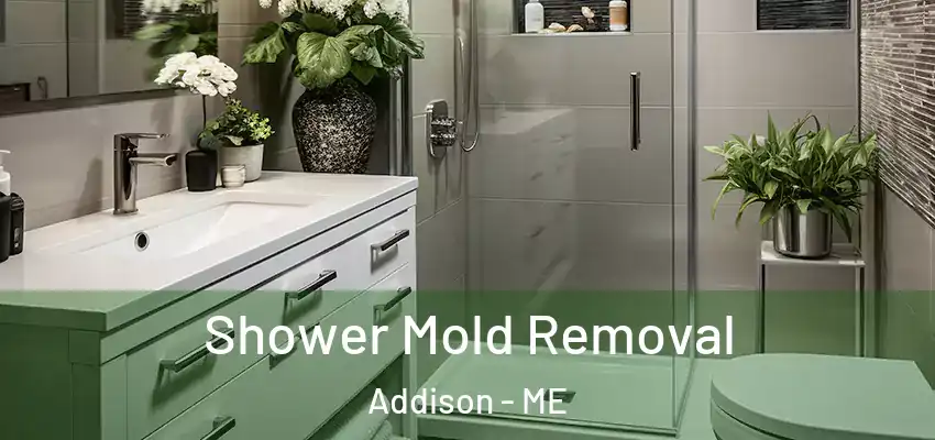 Shower Mold Removal Addison - ME