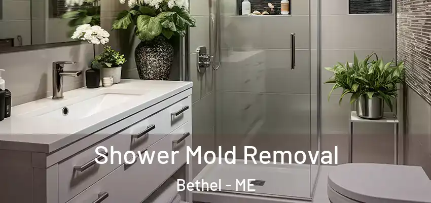 Shower Mold Removal Bethel - ME