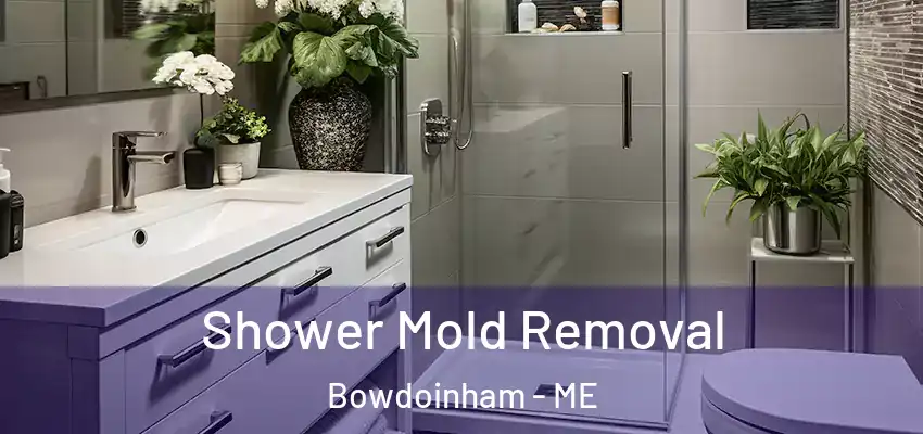  Shower Mold Removal Bowdoinham - ME
