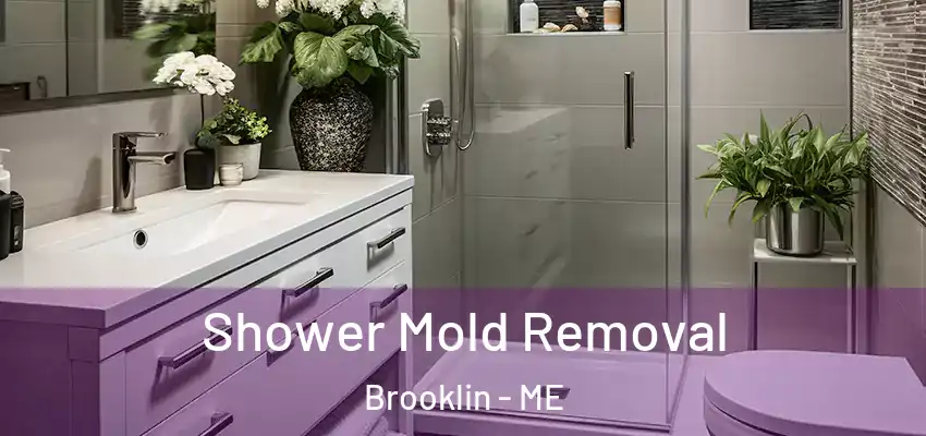  Shower Mold Removal Brooklin - ME