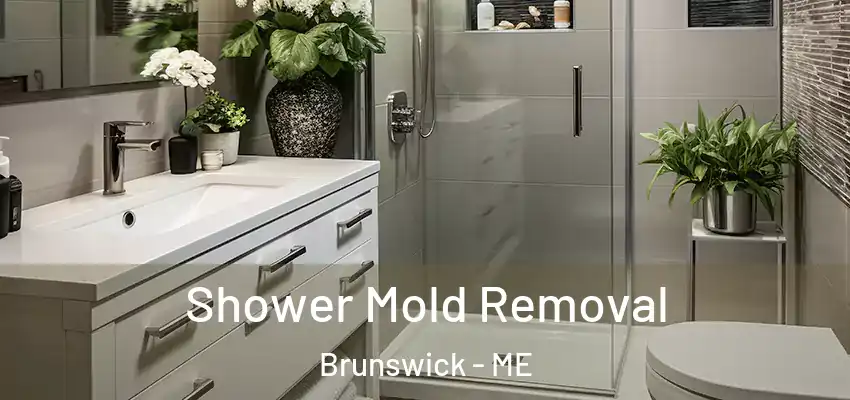  Shower Mold Removal Brunswick - ME