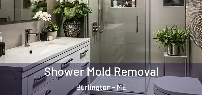  Shower Mold Removal Burlington - ME