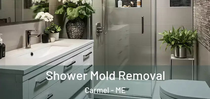  Shower Mold Removal Carmel - ME