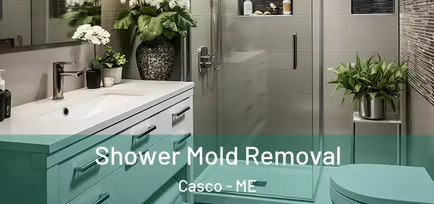  Shower Mold Removal Casco - ME