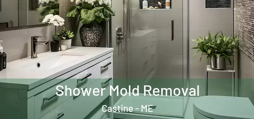  Shower Mold Removal Castine - ME