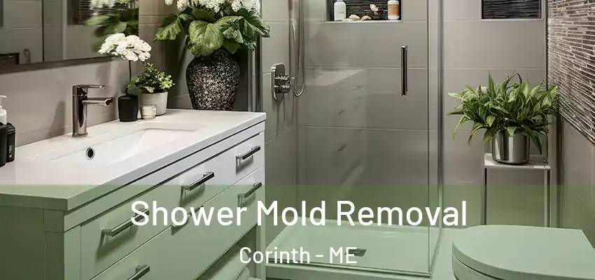  Shower Mold Removal Corinth - ME