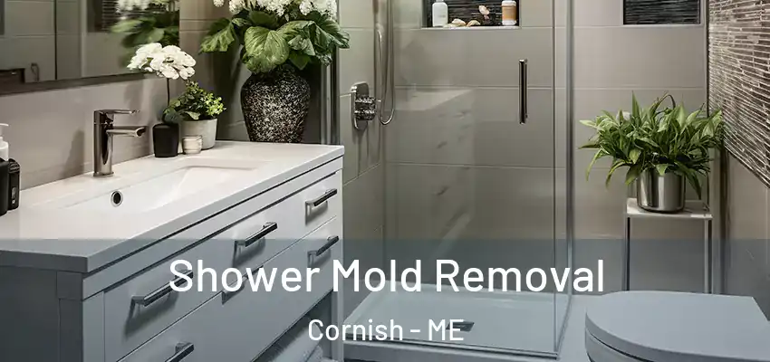  Shower Mold Removal Cornish - ME