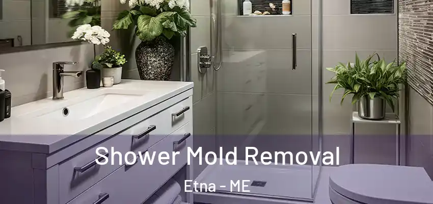  Shower Mold Removal Etna - ME