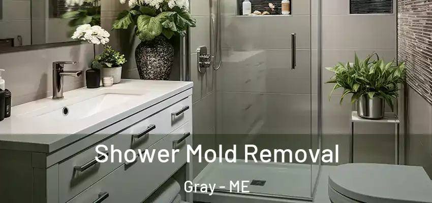  Shower Mold Removal Gray - ME
