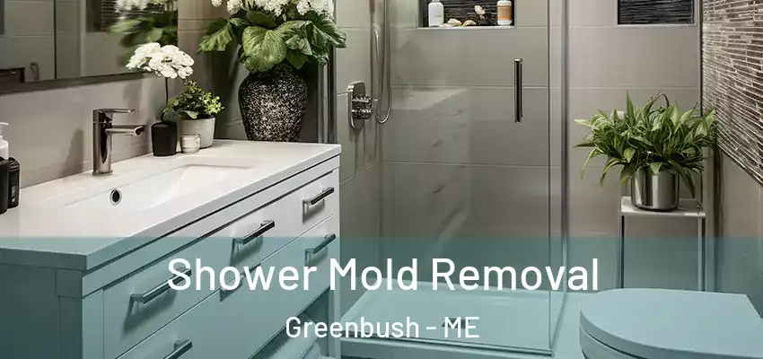 Shower Mold Removal Greenbush - ME