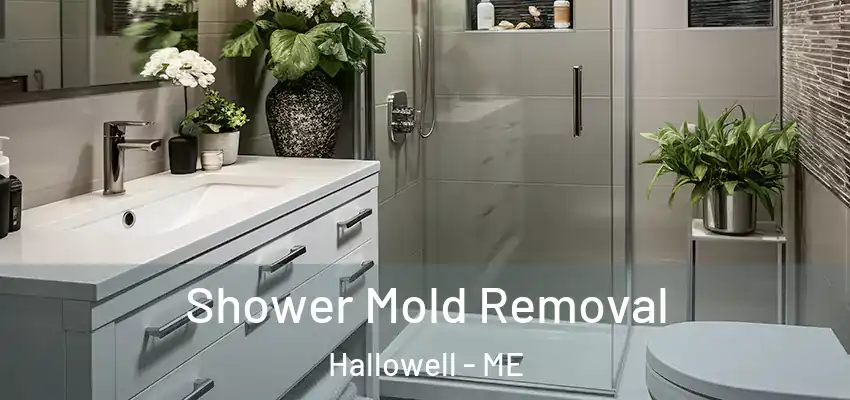 Shower Mold Removal Hallowell - ME