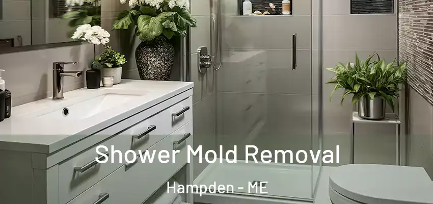 Shower Mold Removal Hampden - ME