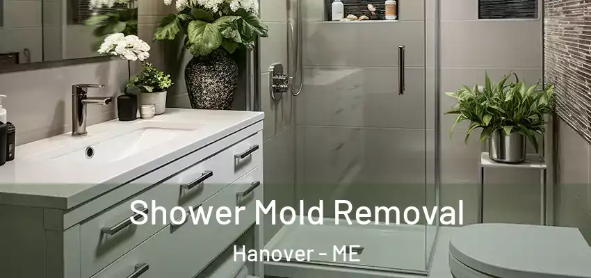  Shower Mold Removal Hanover - ME