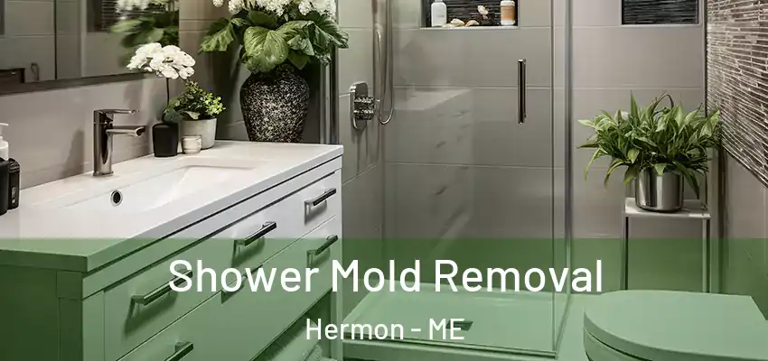 Shower Mold Removal Hermon - ME