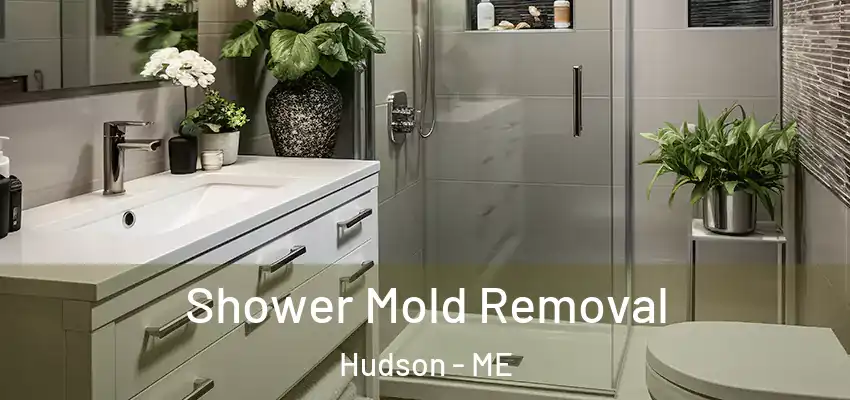  Shower Mold Removal Hudson - ME
