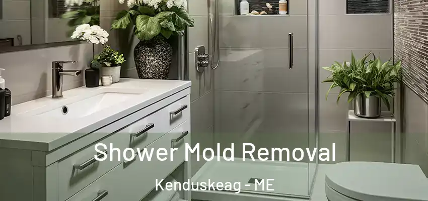  Shower Mold Removal Kenduskeag - ME
