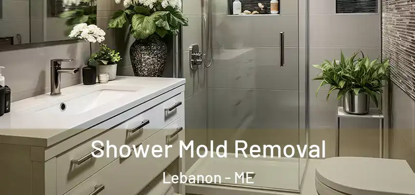  Shower Mold Removal Lebanon - ME