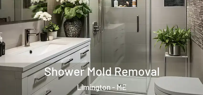  Shower Mold Removal Limington - ME