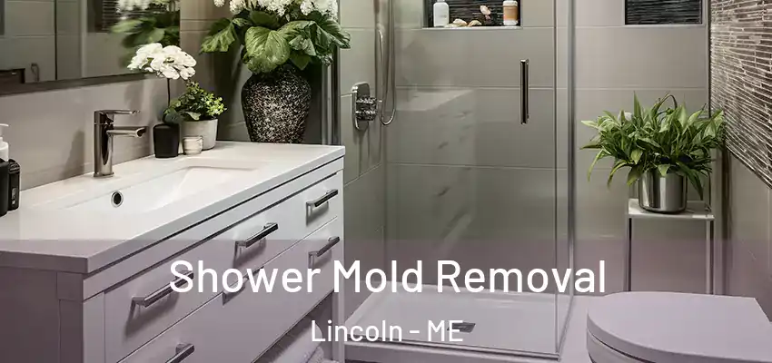  Shower Mold Removal Lincoln - ME