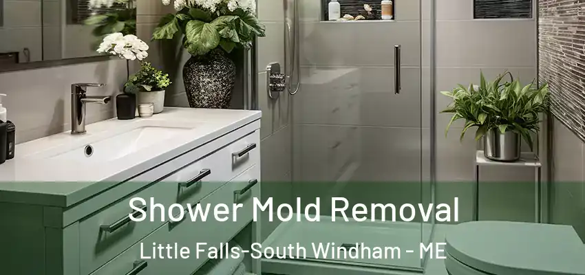 Shower Mold Removal Little Falls-South Windham - ME