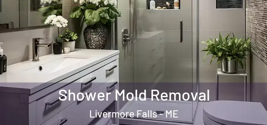 Shower Mold Removal Livermore Falls - ME