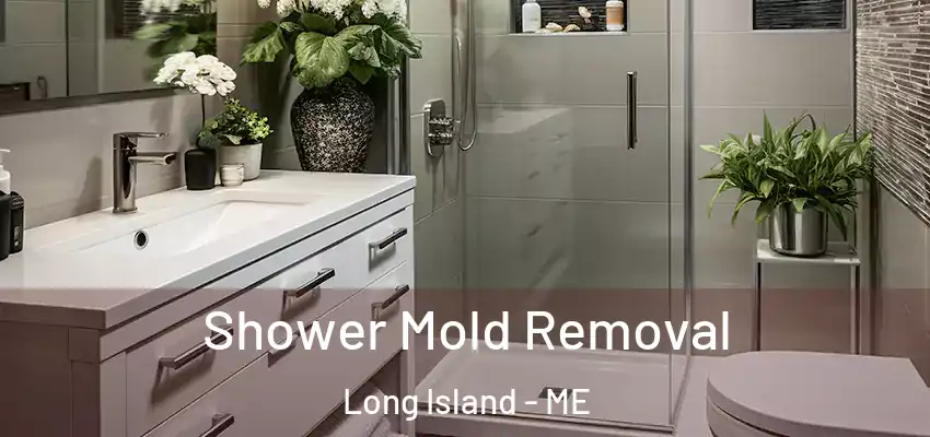  Shower Mold Removal Long Island - ME