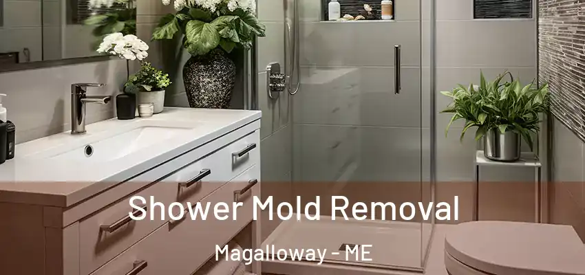 Shower Mold Removal Magalloway - ME