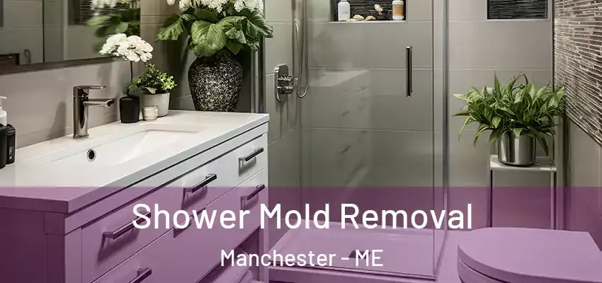  Shower Mold Removal Manchester - ME