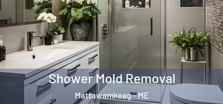 Shower Mold Removal Mattawamkeag - ME
