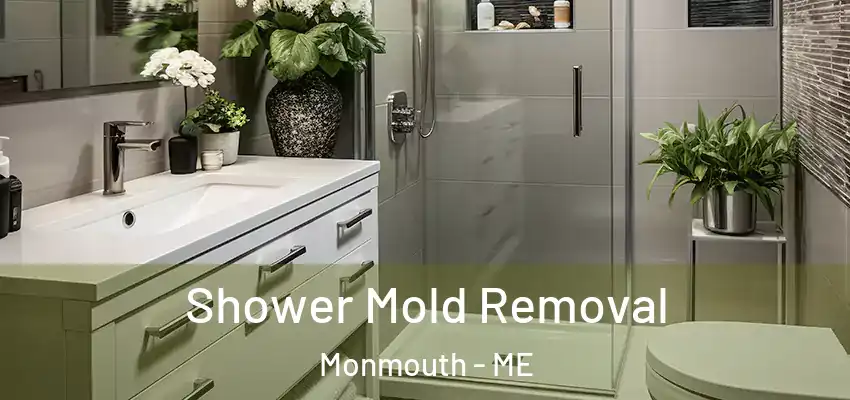 Shower Mold Removal Monmouth - ME