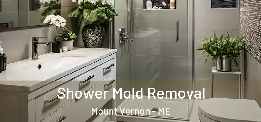 Shower Mold Removal Mount Vernon - ME
